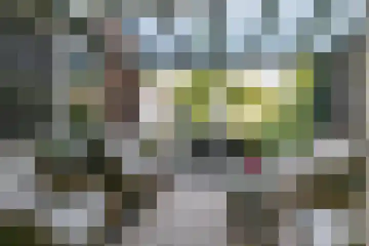 Monshouwerlaan 16 Hoevelaken thumbnail 35