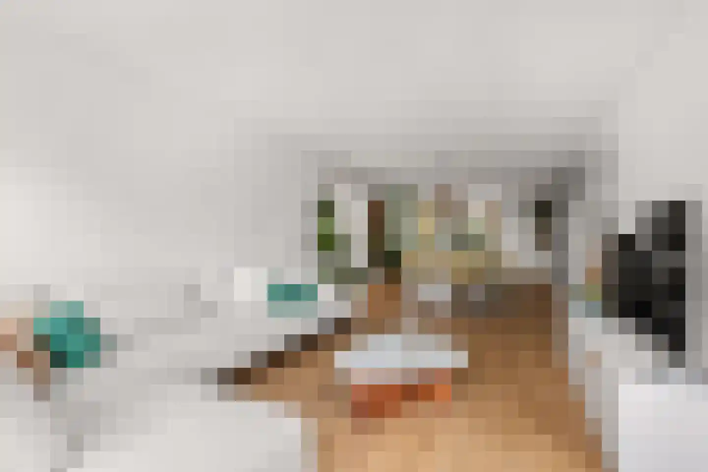 Monshouwerlaan 22 Hoevelaken thumbnail 13