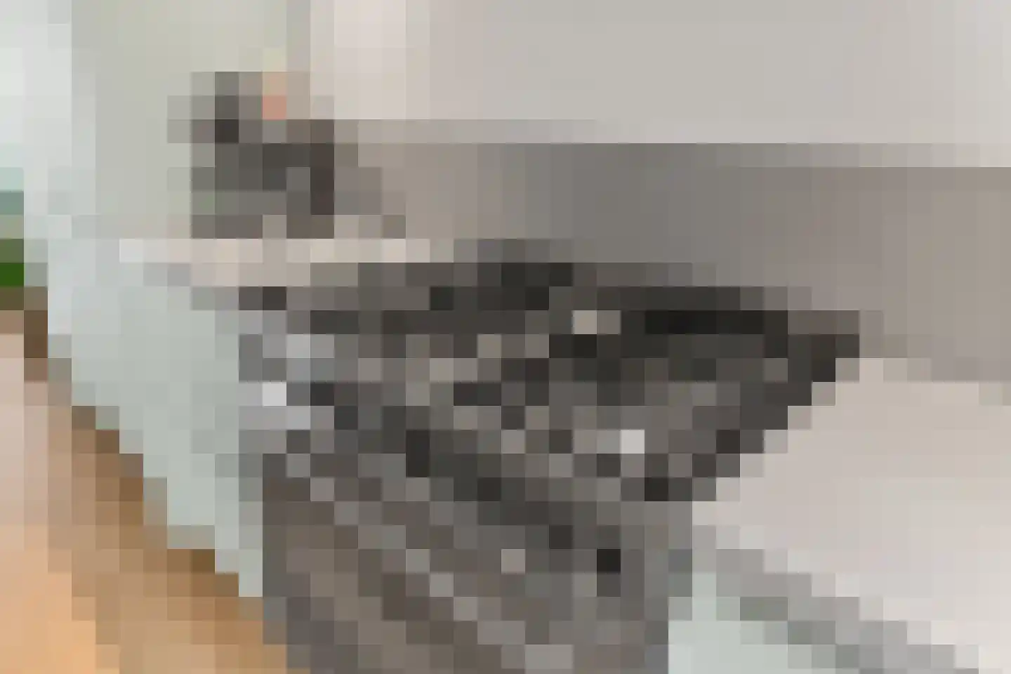 Monshouwerlaan 22 Hoevelaken thumbnail 22