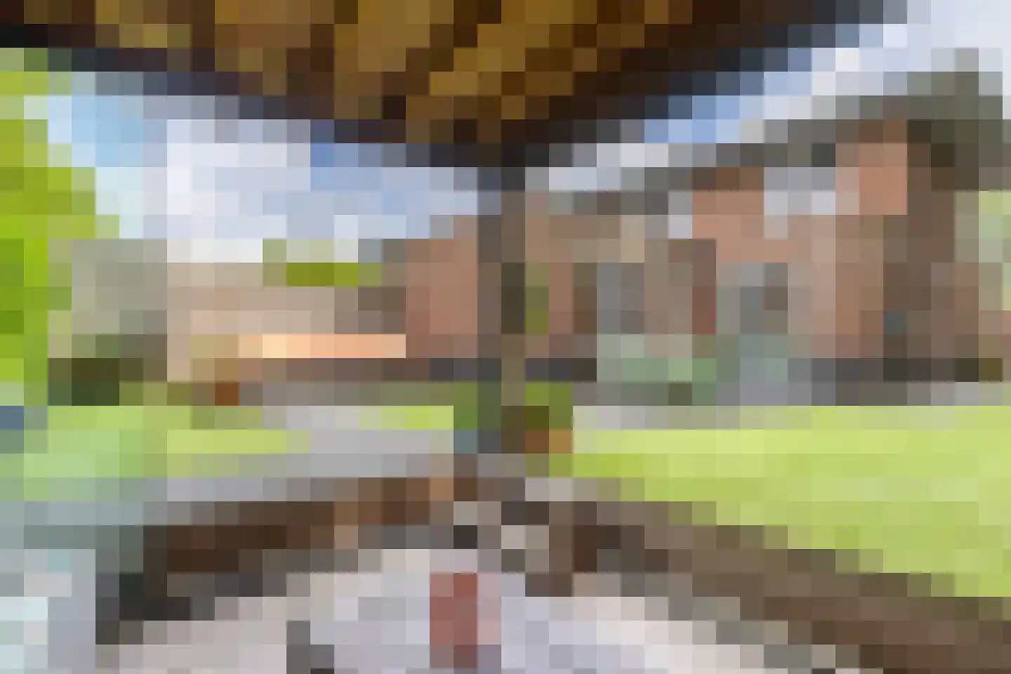 Monshouwerlaan 22 Hoevelaken thumbnail 57