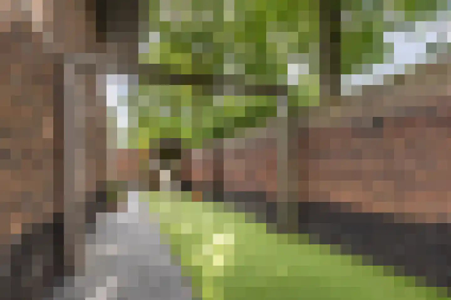 Monshouwerlaan 22 Hoevelaken thumbnail 61