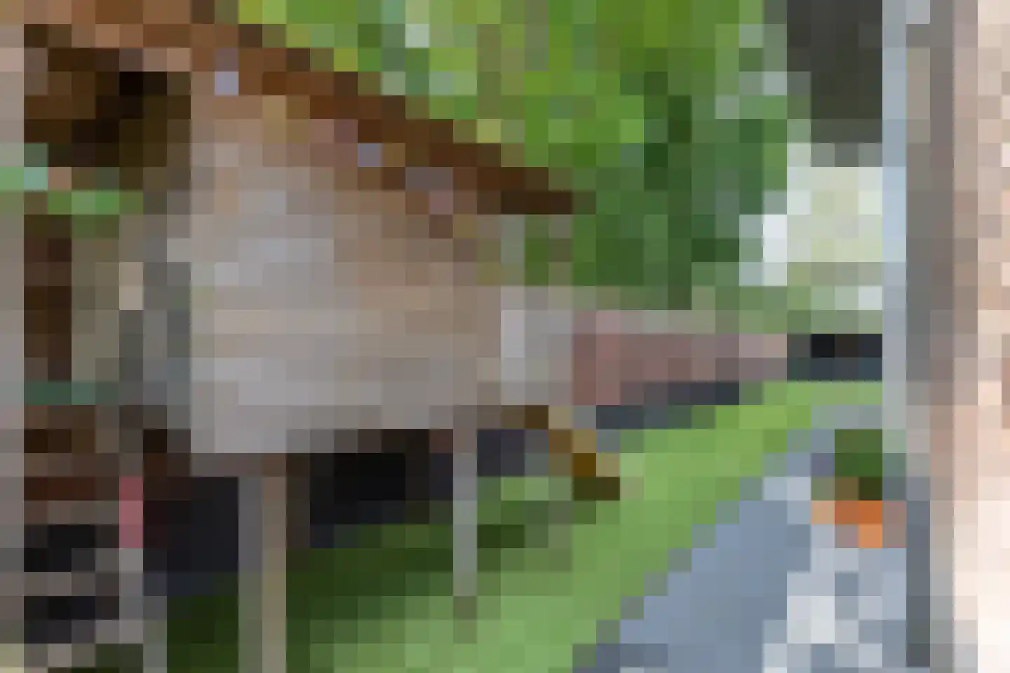 Monshouwerlaan 22 Hoevelaken thumbnail 62