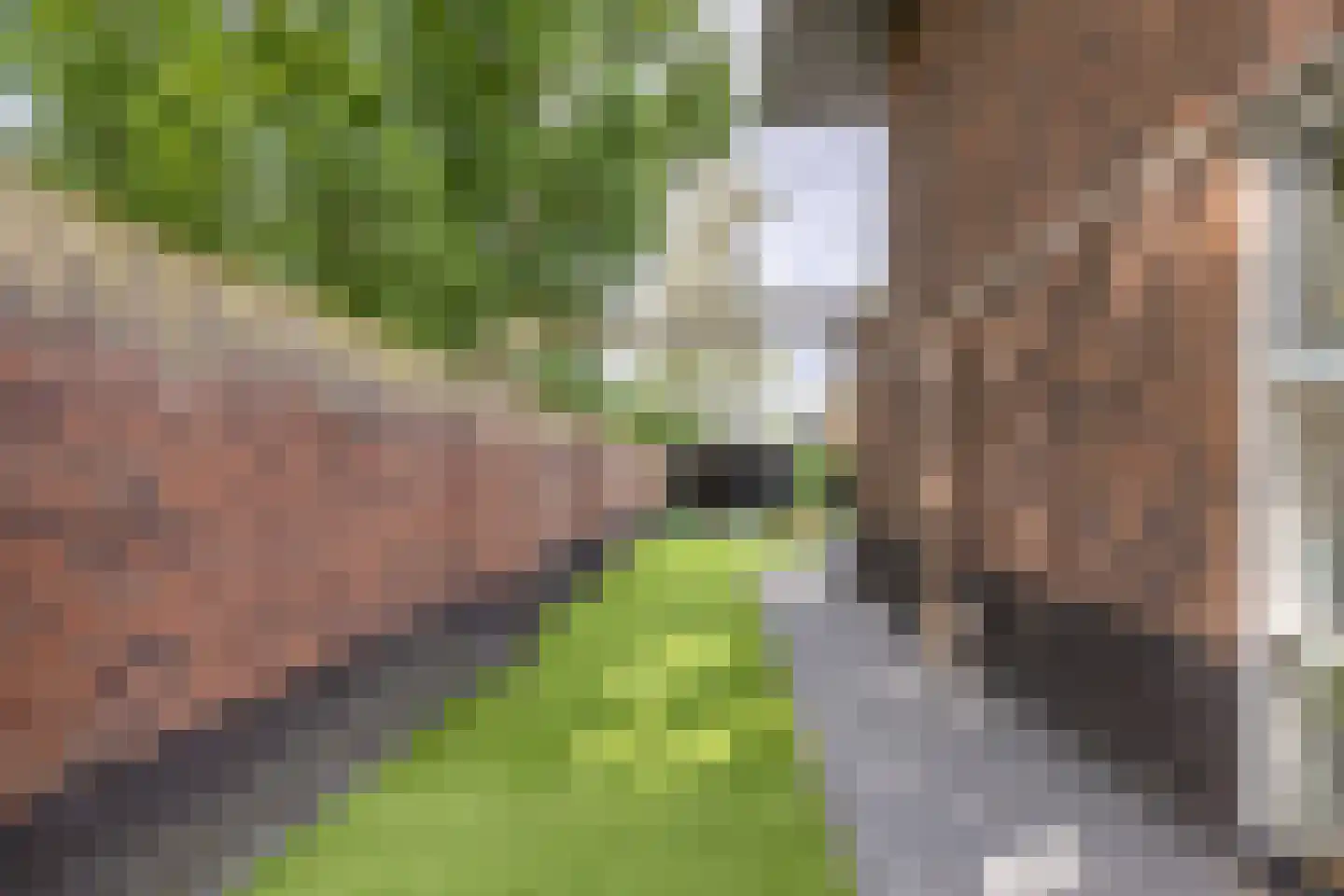Monshouwerlaan 22 Hoevelaken thumbnail 63