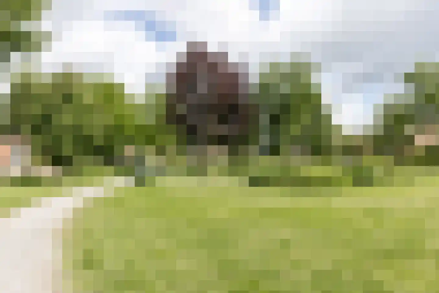 Monshouwerlaan 22 Hoevelaken thumbnail 66