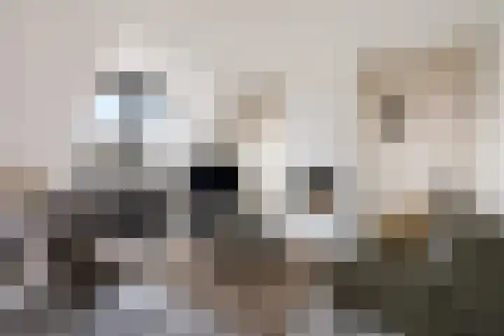 Monshouwerlaan 35 Hoevelaken thumbnail 10