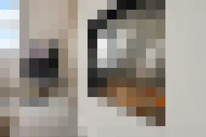 Monshouwerlaan 35 Hoevelaken thumbnail 12