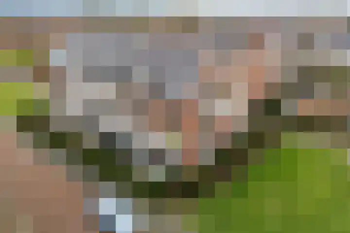Monshouwerlaan 35 Hoevelaken thumbnail 24