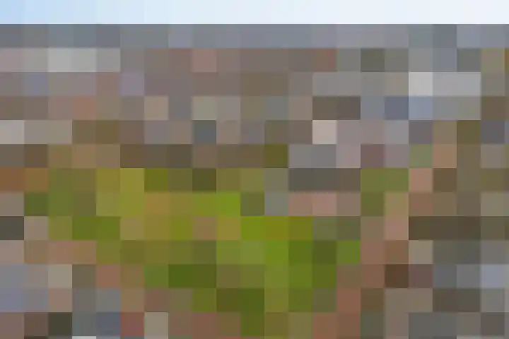 Monshouwerlaan 35 Hoevelaken thumbnail 25