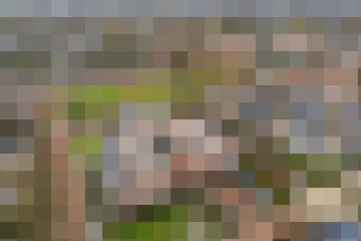 Monshouwerlaan 35 Hoevelaken thumbnail 26