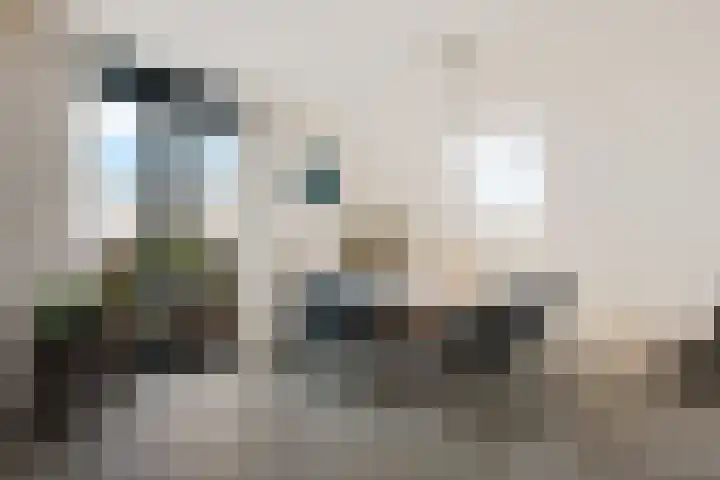 Monshouwerlaan 35 Hoevelaken thumbnail 9
