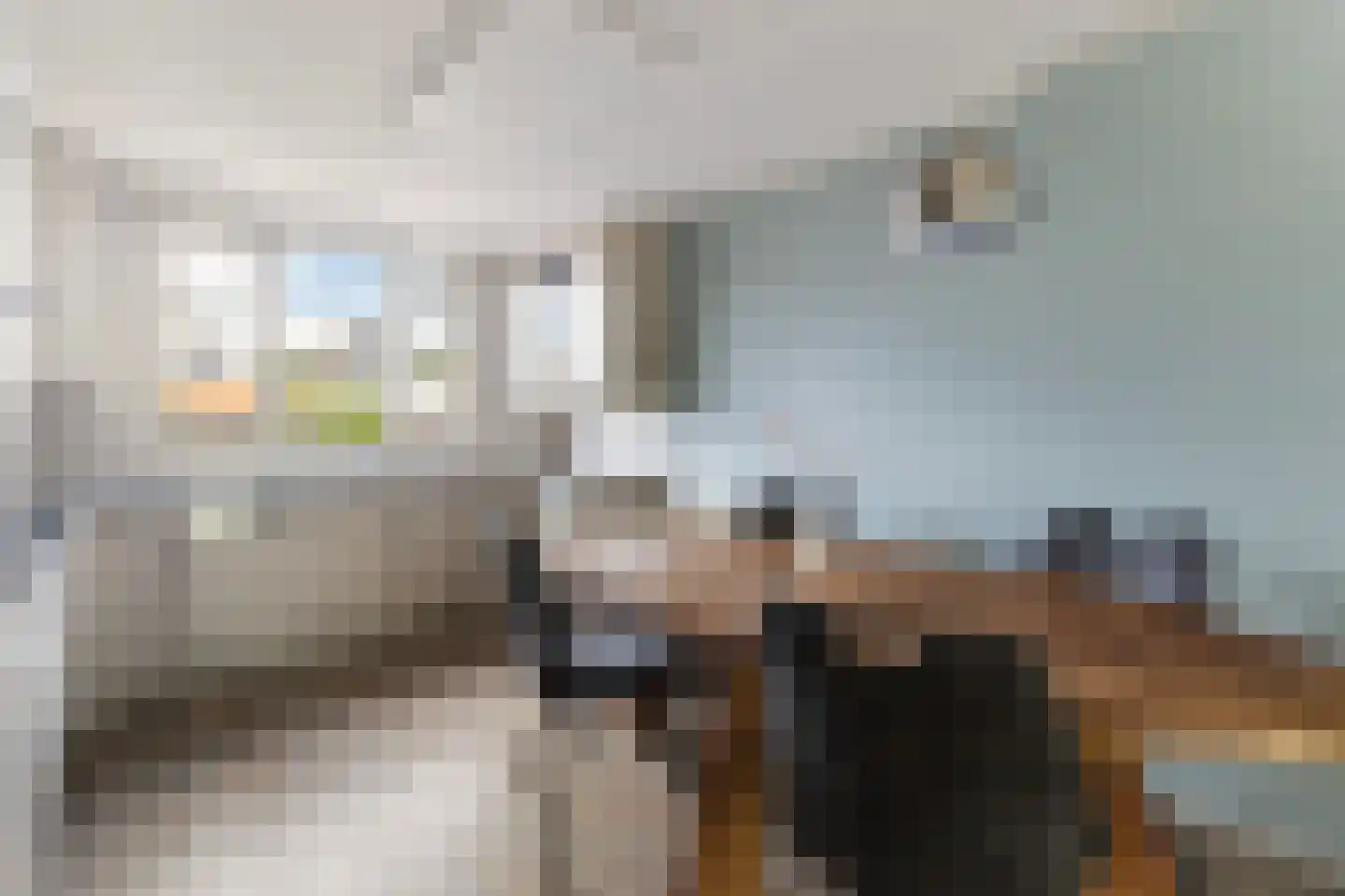 Monsmastate 22 Leeuwarden thumbnail 15