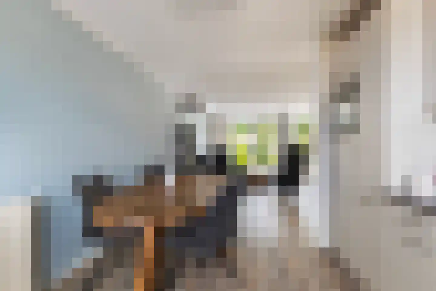 Monsmastate 22 Leeuwarden thumbnail 16