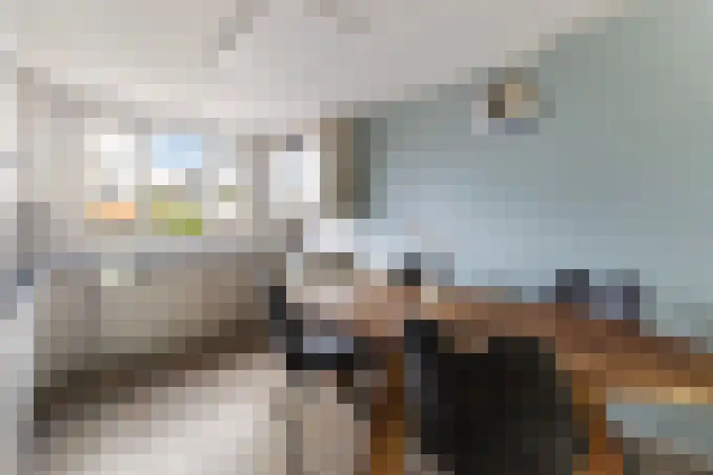 Monsmastate 22 Leeuwarden thumbnail 16