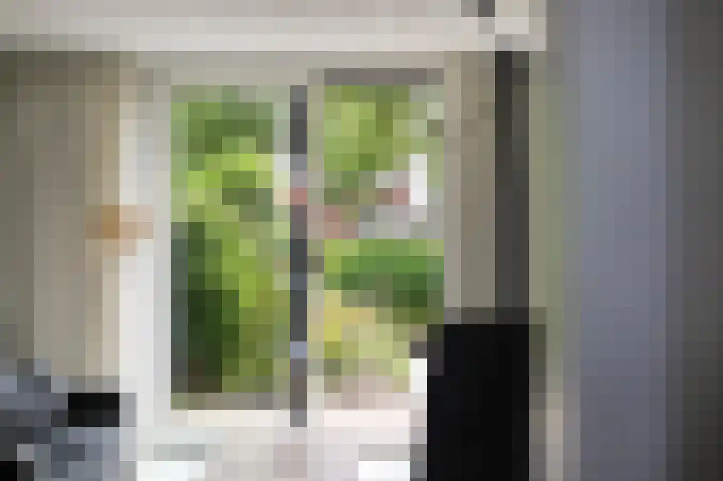 Monsmastate 22 Leeuwarden thumbnail 19