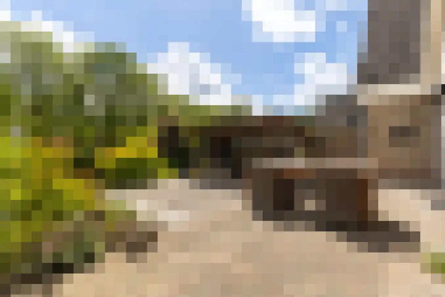 Monsmastate 22 Leeuwarden thumbnail 23