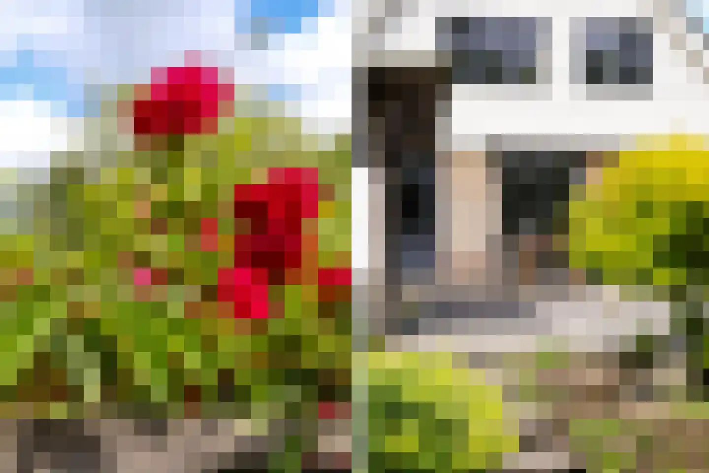 Monsmastate 22 Leeuwarden thumbnail 28