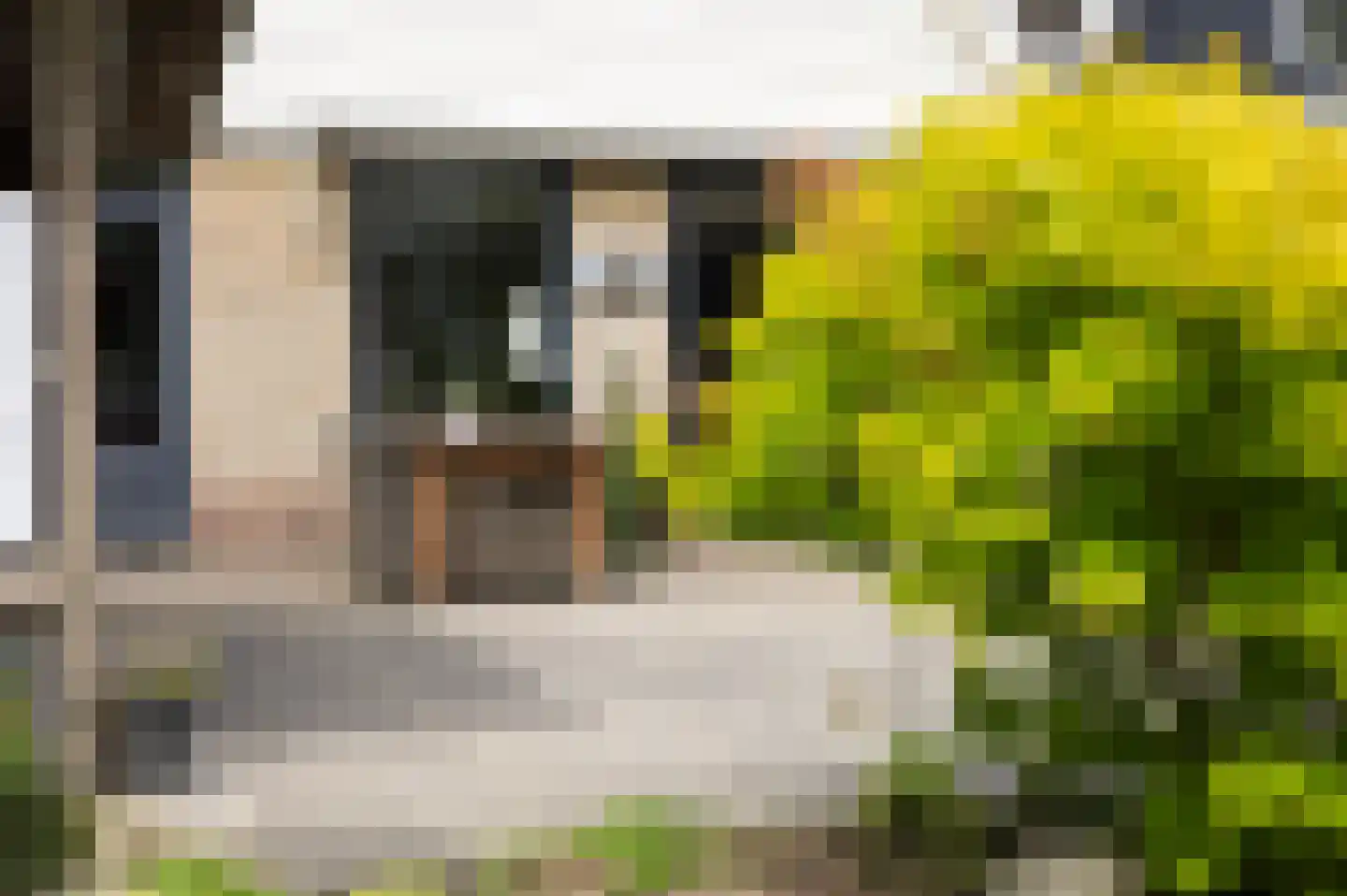 Monsmastate 22 Leeuwarden thumbnail 29