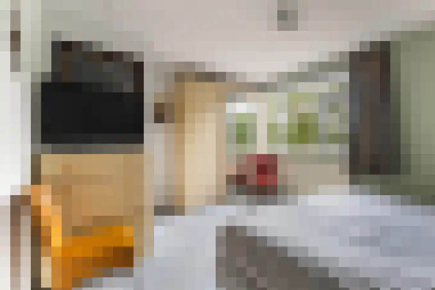 Monsmastate 22 Leeuwarden thumbnail 32