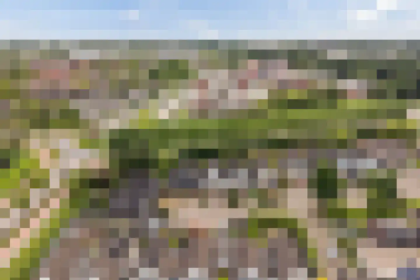 Monsmastate 22 Leeuwarden thumbnail 48
