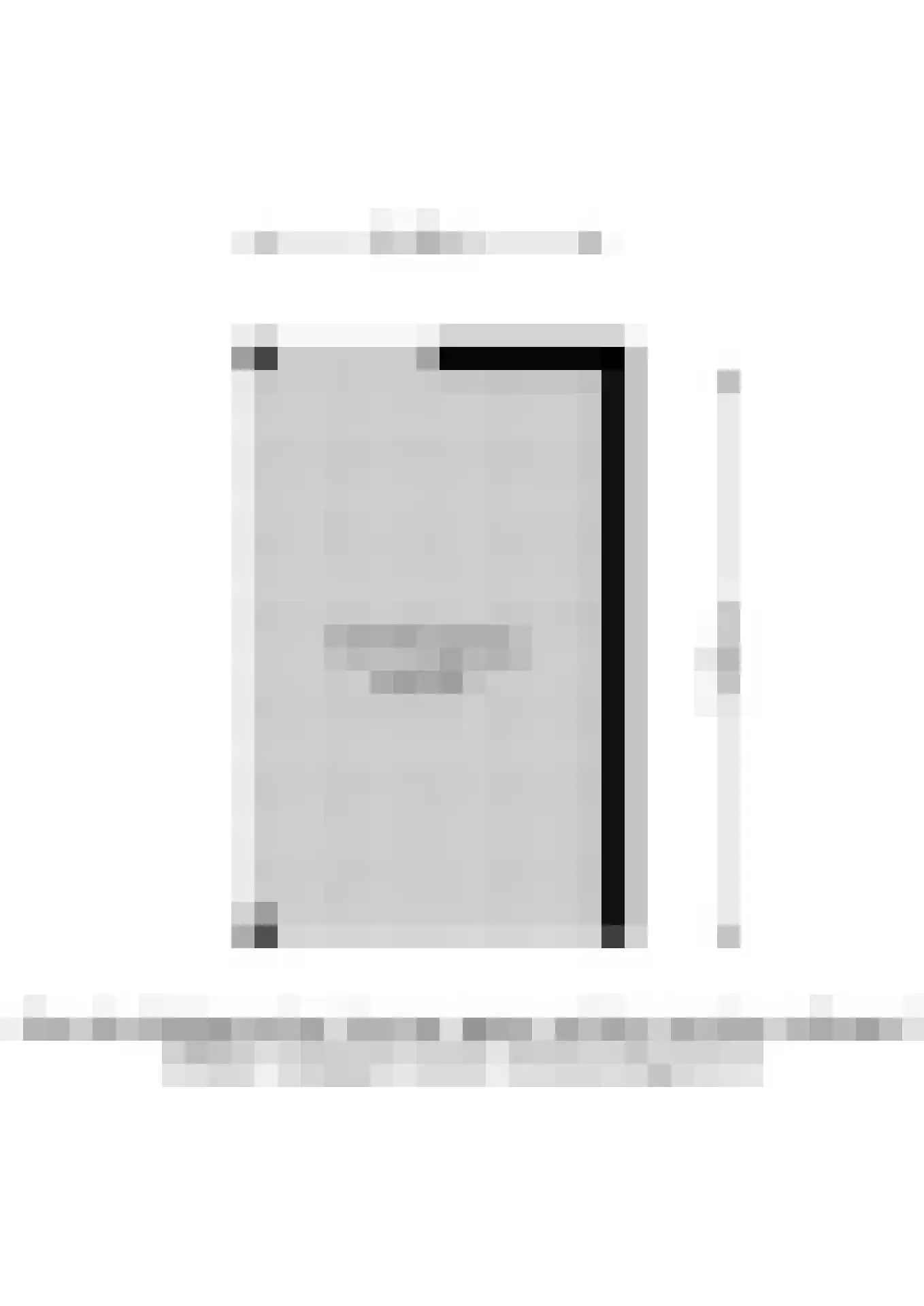 Monsmastate 22 Leeuwarden thumbnail 54