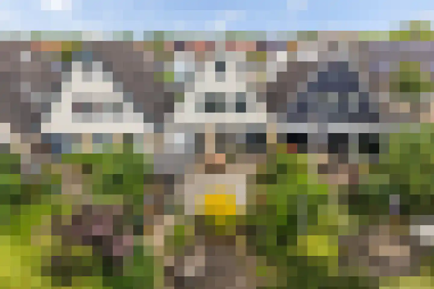 Monsmastate 22 Leeuwarden thumbnail 7