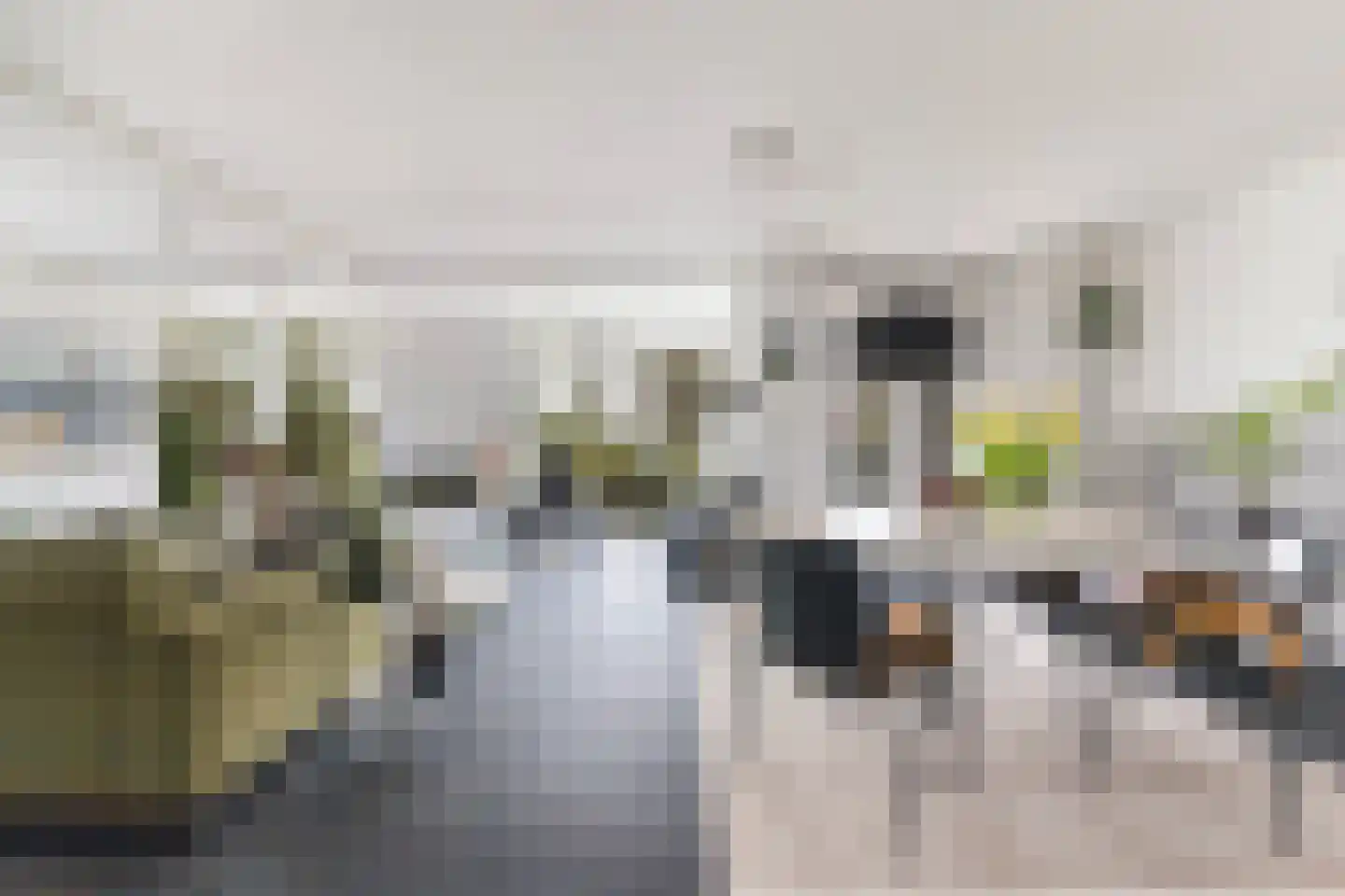 Monsmastate 24 Leeuwarden thumbnail 10