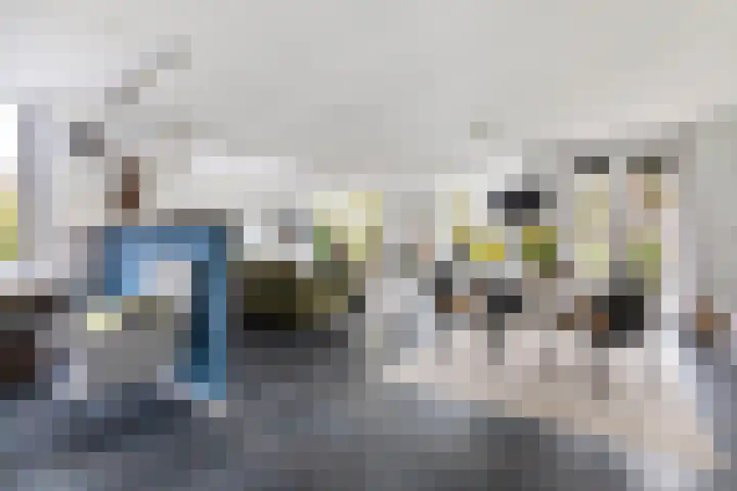 Monsmastate 24 Leeuwarden thumbnail 11