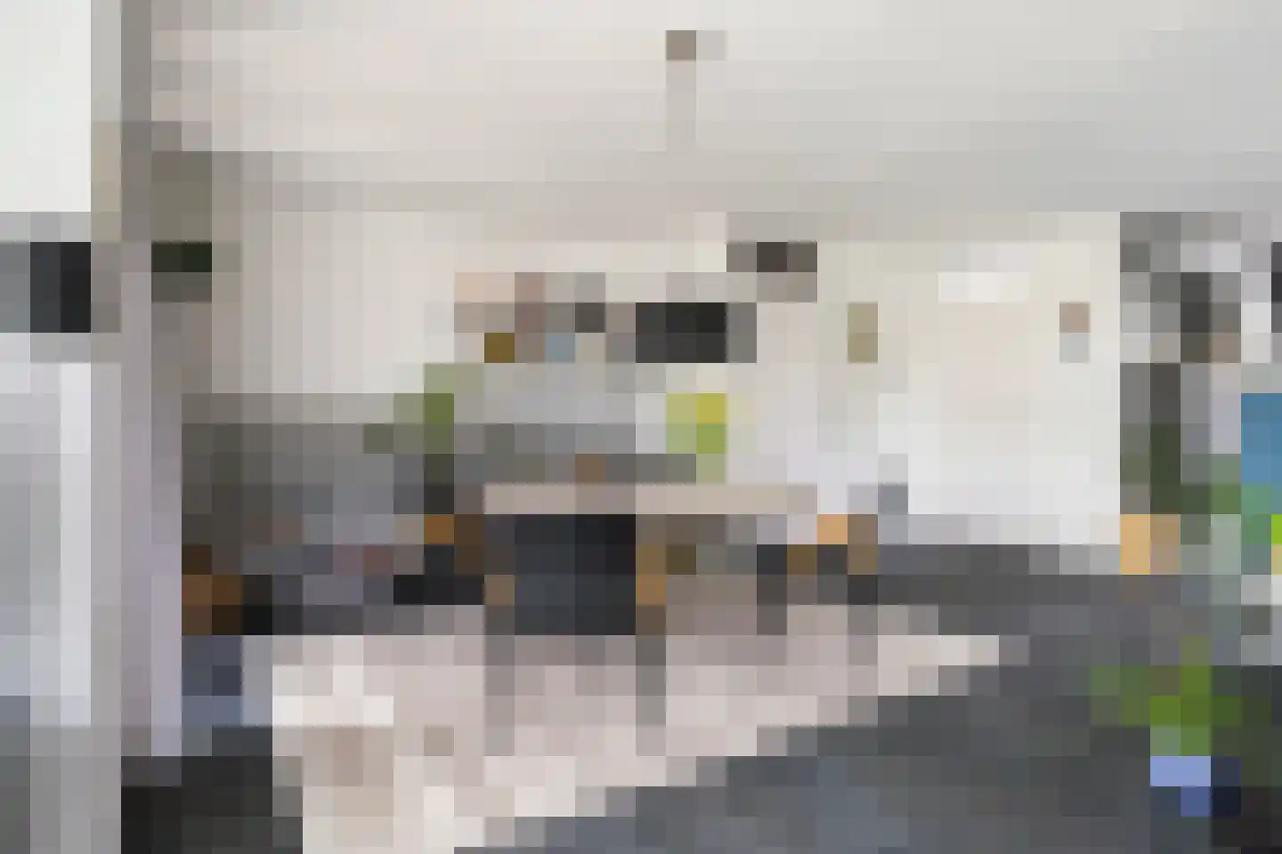 Monsmastate 24 Leeuwarden thumbnail 12