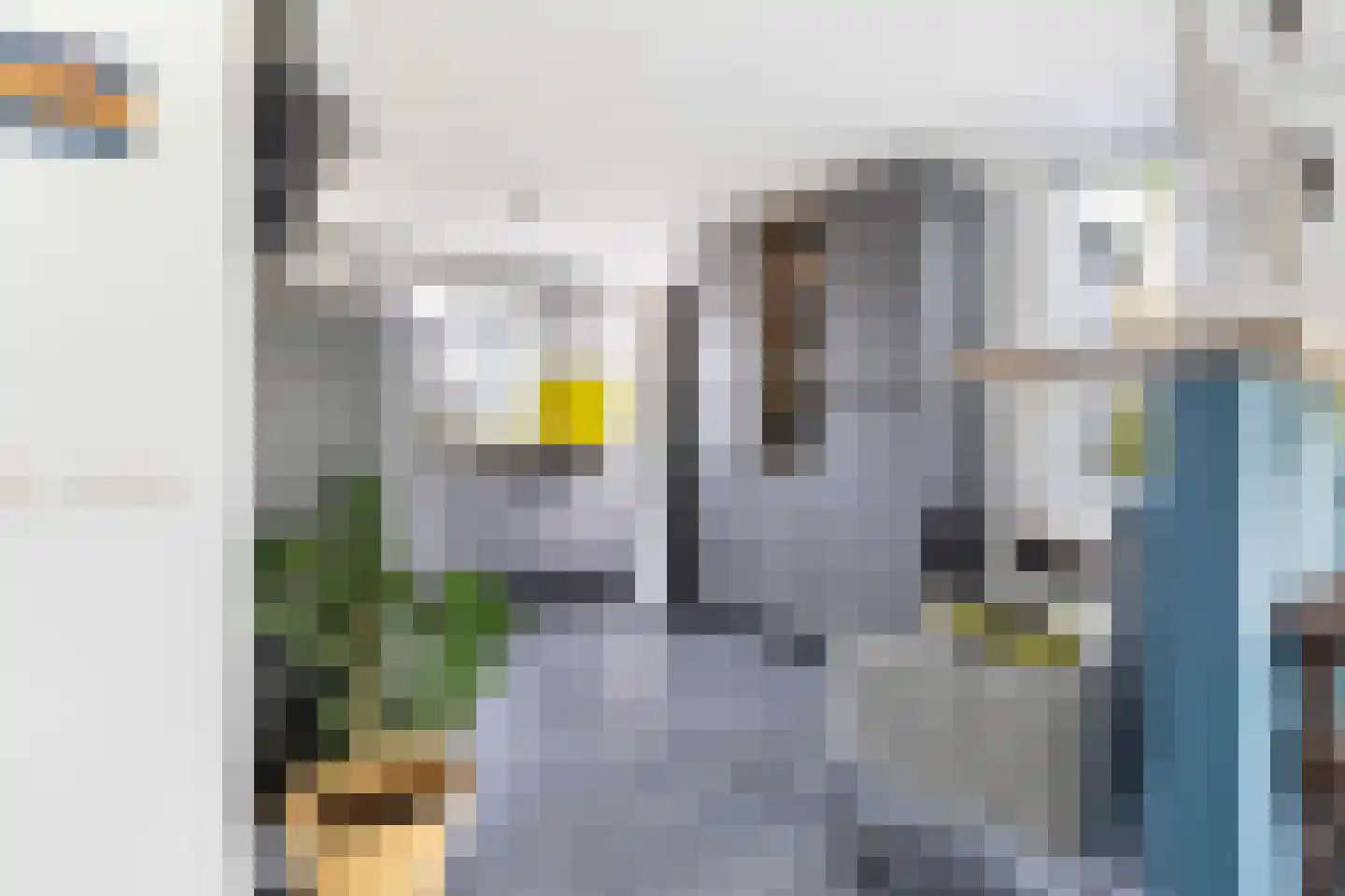 Monsmastate 24 Leeuwarden thumbnail 13