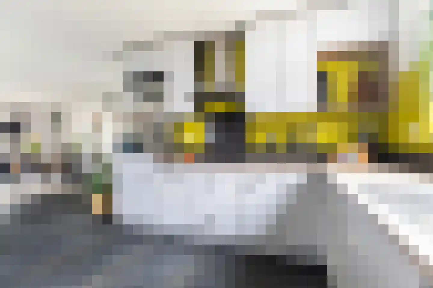 Monsmastate 24 Leeuwarden thumbnail 15