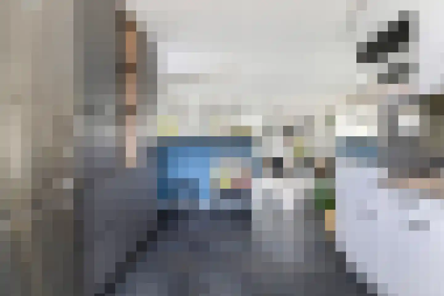 Monsmastate 24 Leeuwarden thumbnail 16