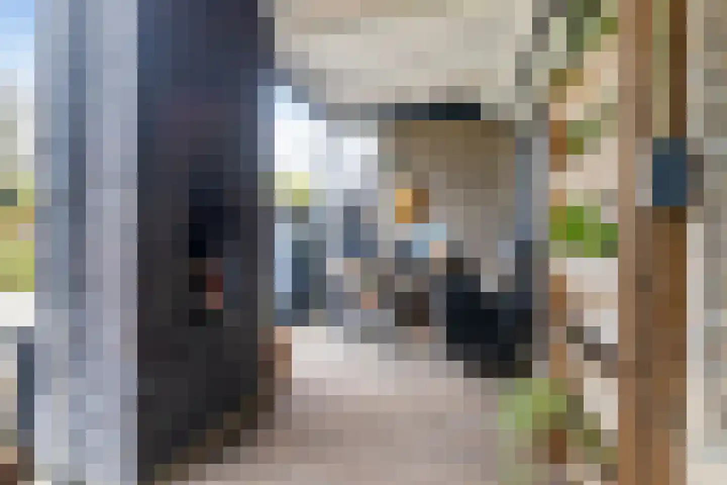 Monsmastate 24 Leeuwarden thumbnail 22