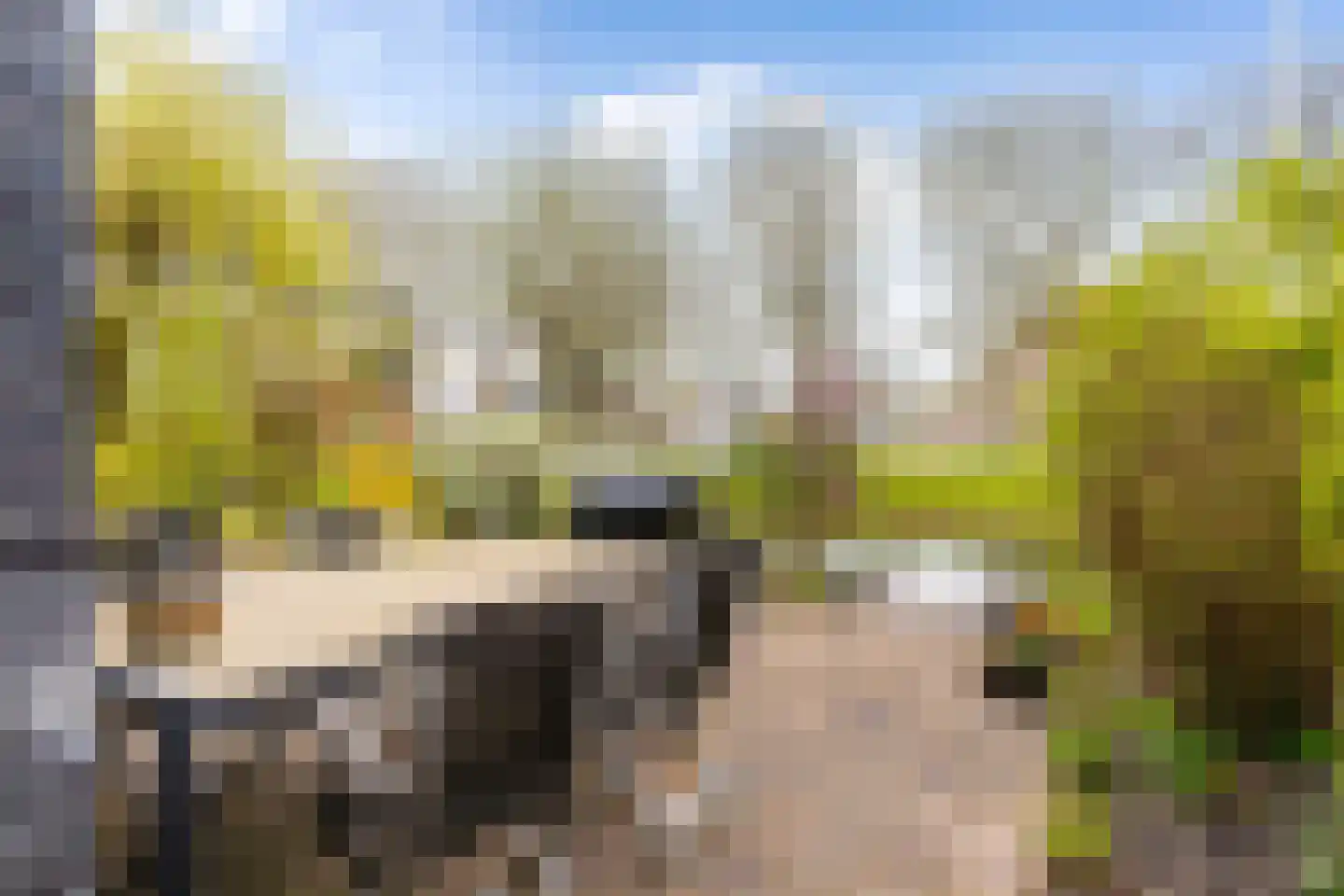 Monsmastate 24 Leeuwarden thumbnail 23