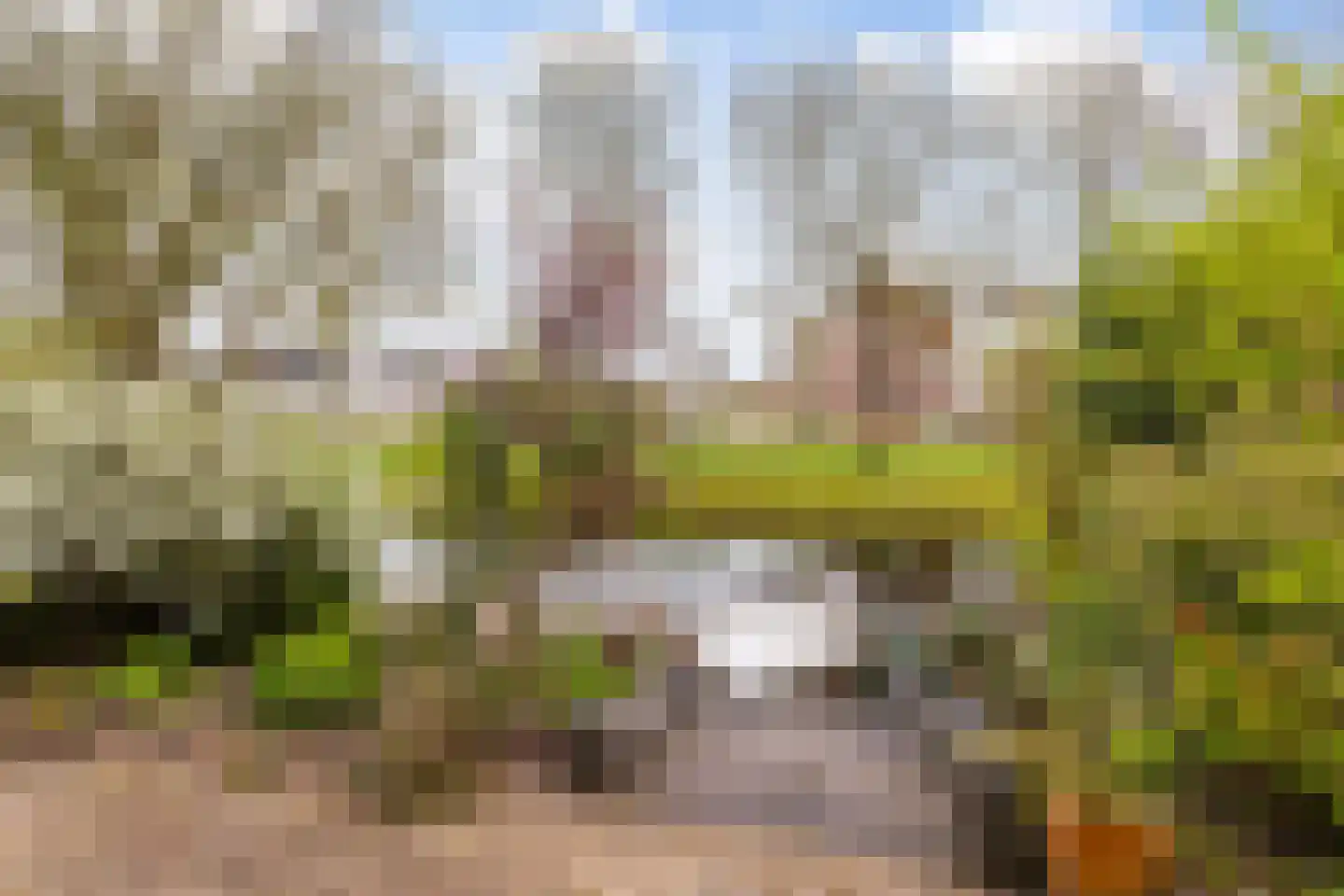 Monsmastate 24 Leeuwarden thumbnail 24