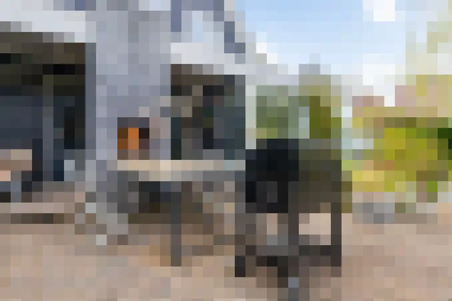 Monsmastate 24 Leeuwarden thumbnail 25