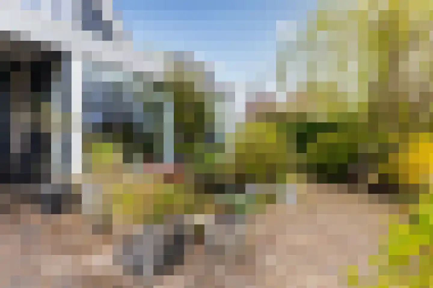 Monsmastate 24 Leeuwarden thumbnail 26