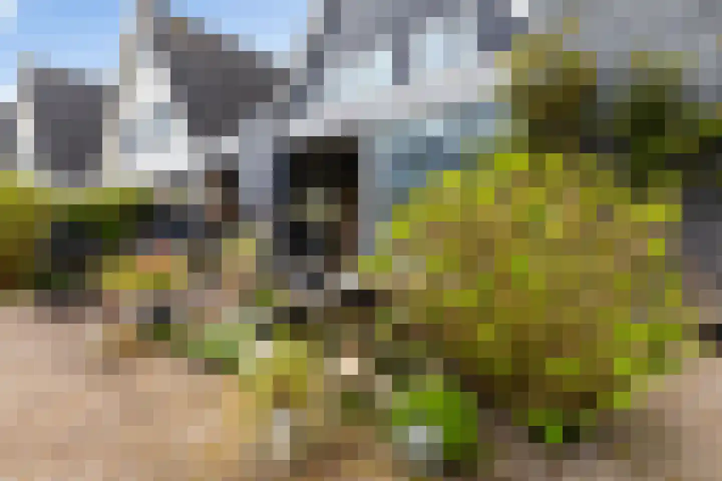 Monsmastate 24 Leeuwarden thumbnail 27