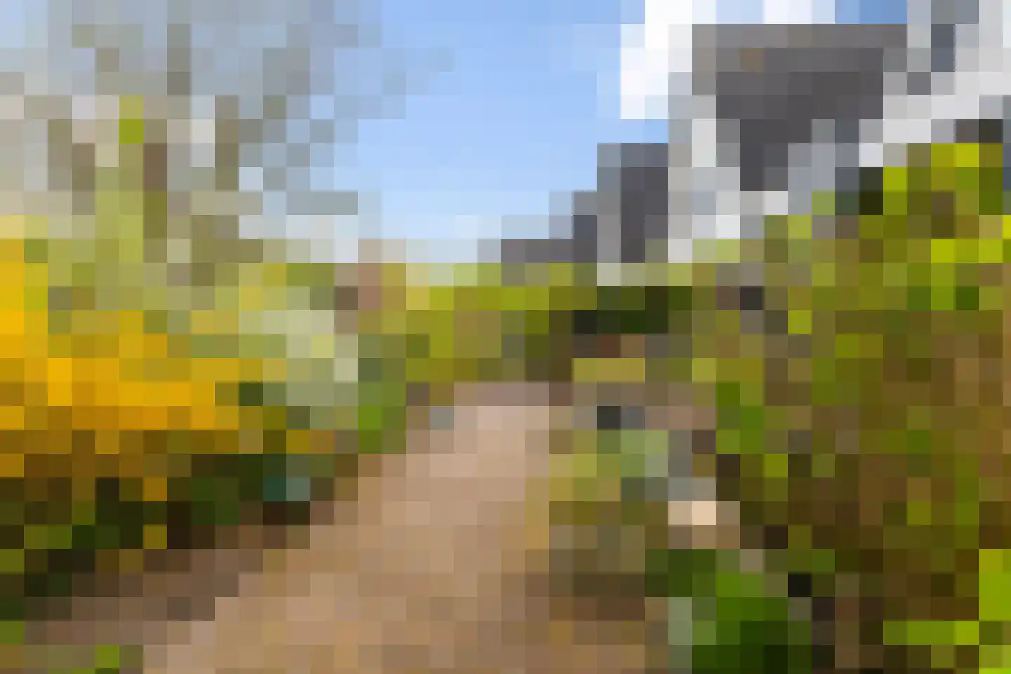 Monsmastate 24 Leeuwarden thumbnail 28