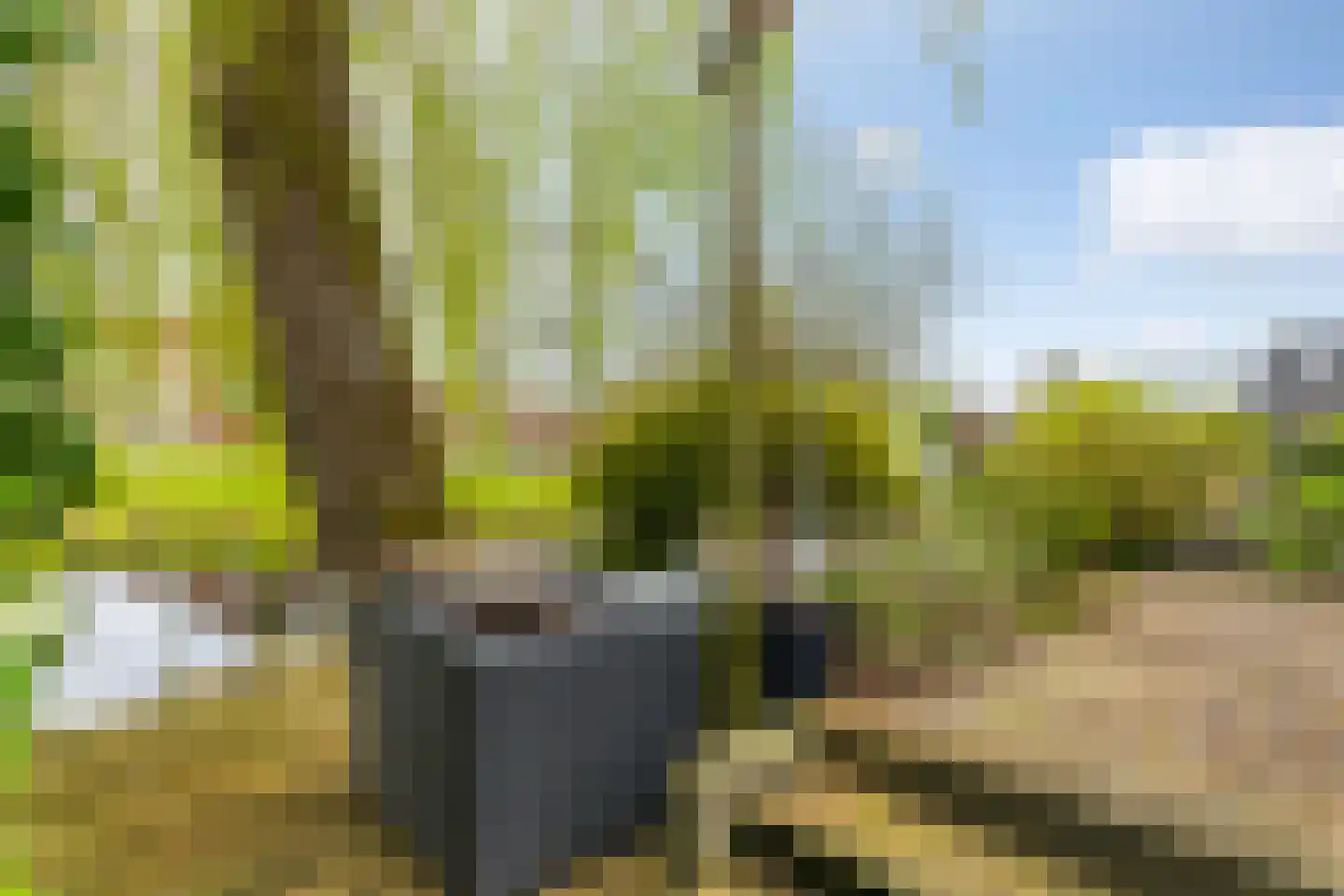Monsmastate 24 Leeuwarden thumbnail 30