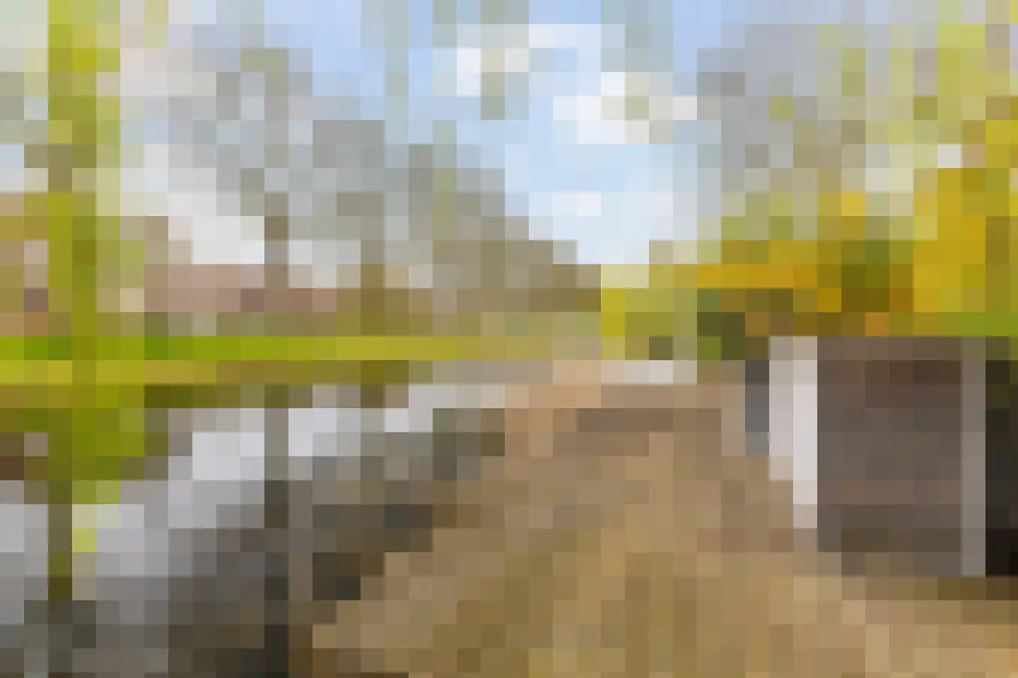 Monsmastate 24 Leeuwarden thumbnail 31