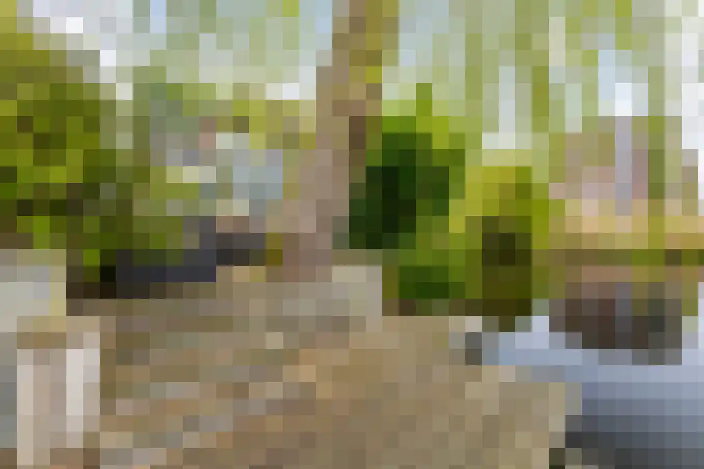 Monsmastate 24 Leeuwarden thumbnail 32