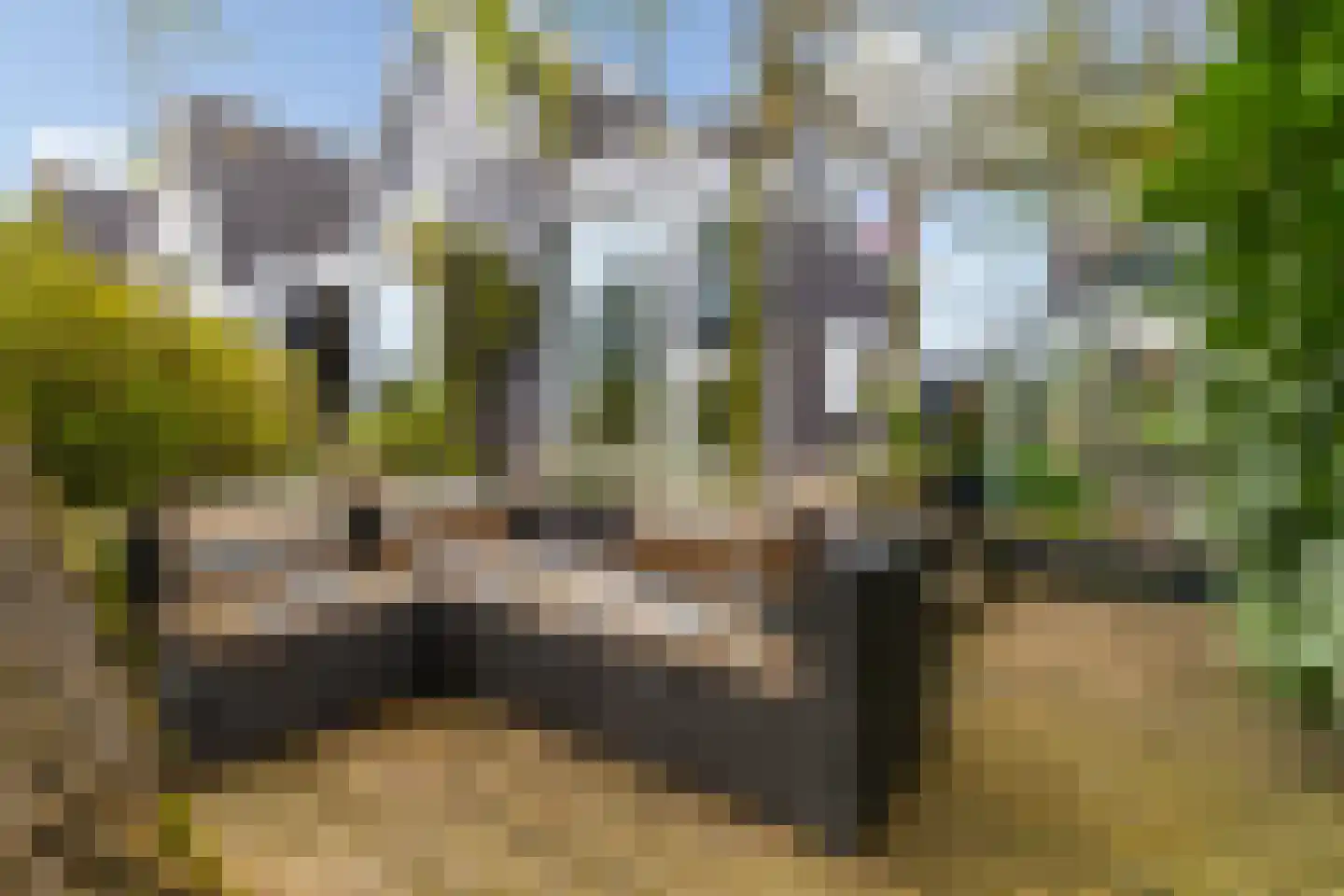 Monsmastate 24 Leeuwarden thumbnail 33