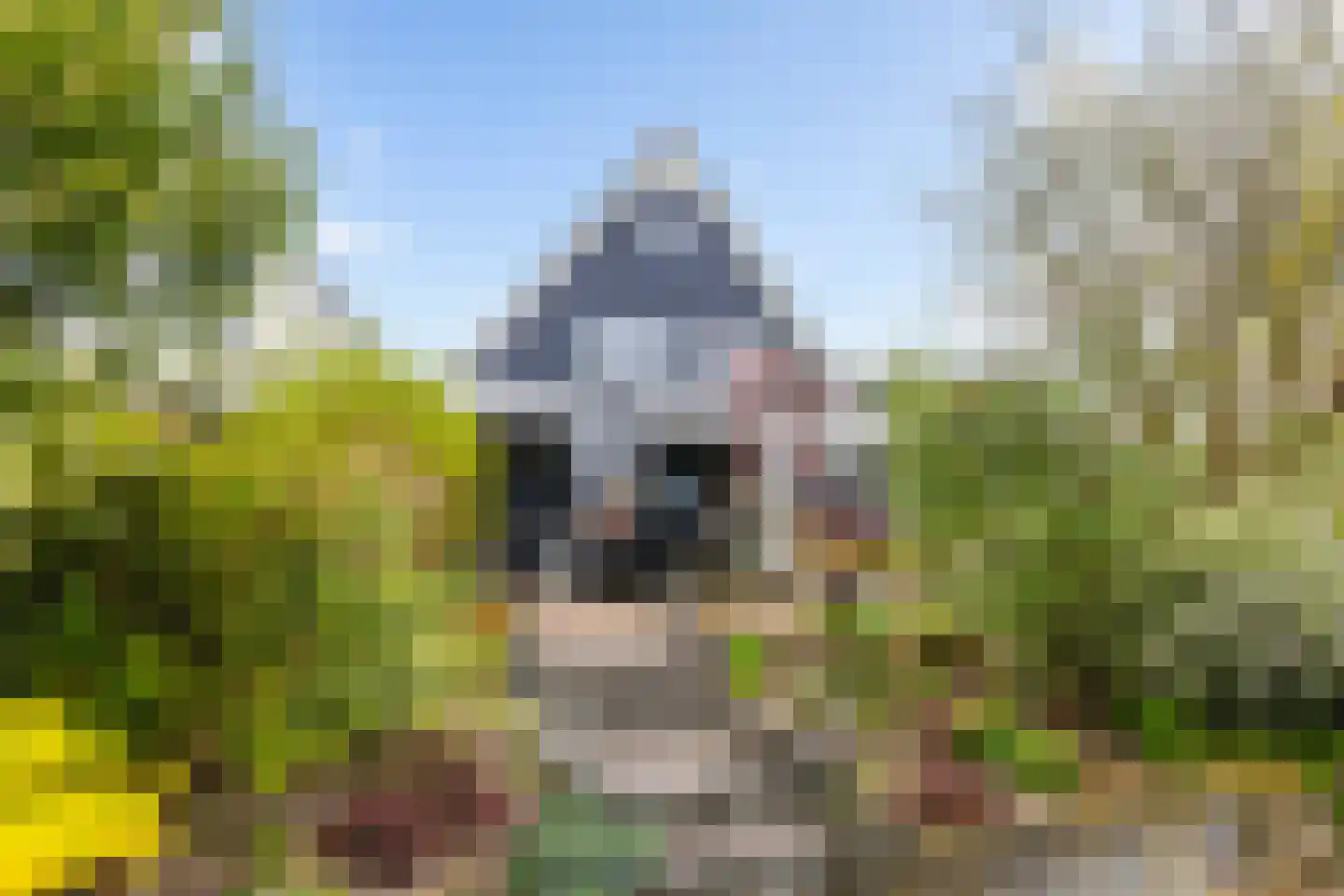 Monsmastate 24 Leeuwarden thumbnail 34