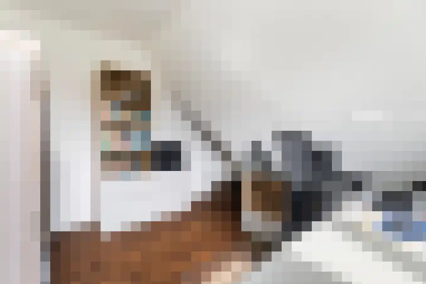 Monsmastate 24 Leeuwarden thumbnail 41