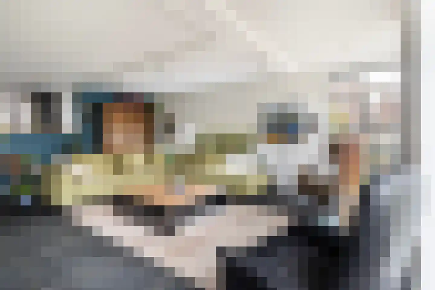 Monsmastate 24 Leeuwarden thumbnail 6