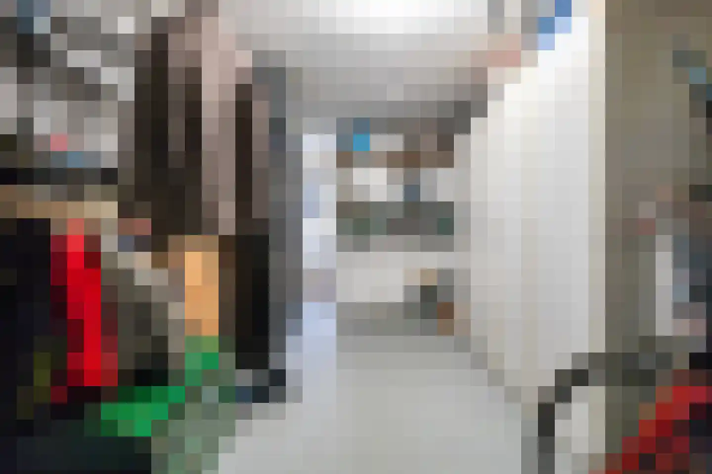 Monsmastate 24 Leeuwarden thumbnail 61