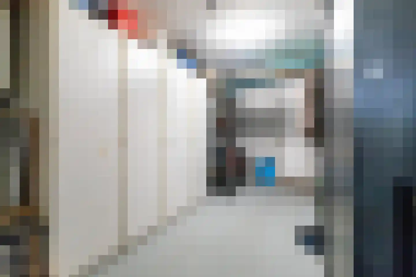 Monsmastate 24 Leeuwarden thumbnail 62