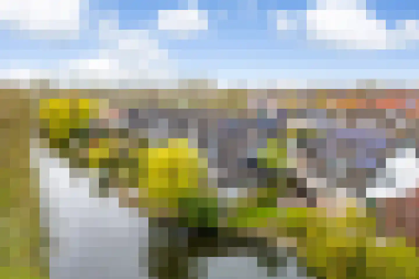 Monsmastate 24 Leeuwarden thumbnail 64