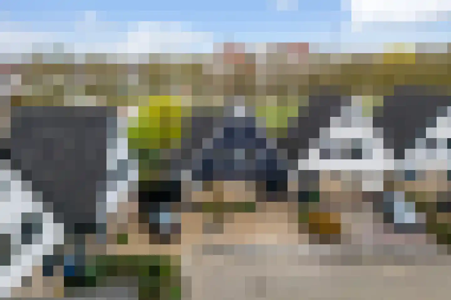 Monsmastate 24 Leeuwarden thumbnail 65