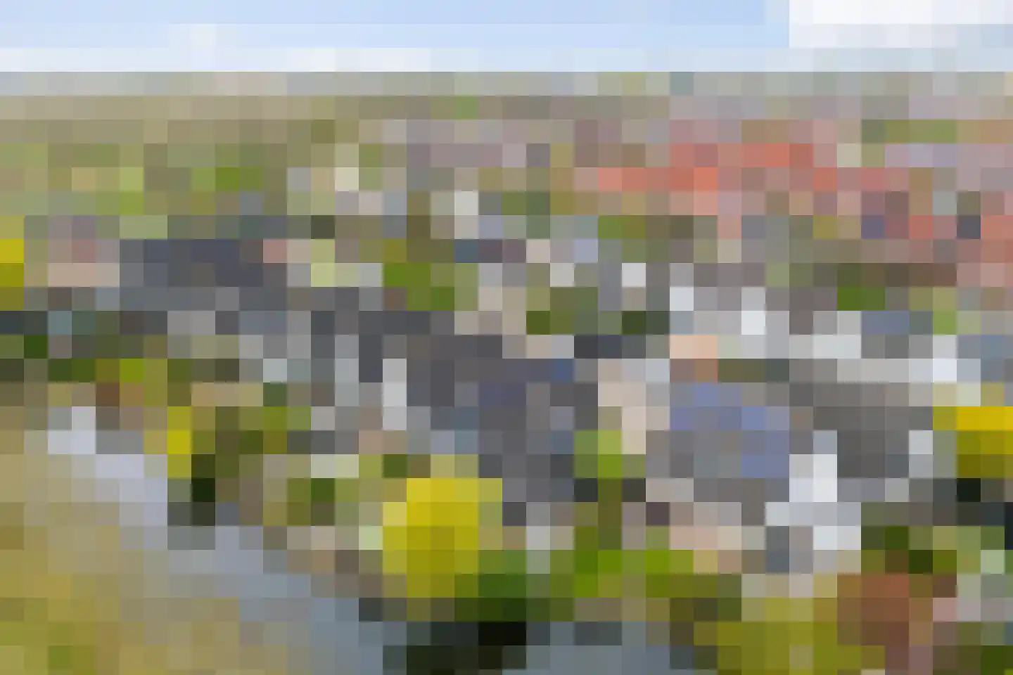 Monsmastate 24 Leeuwarden thumbnail 67